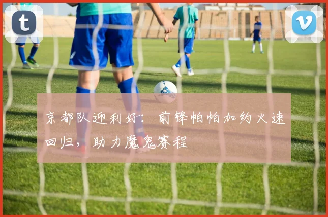 京都队迎利好：前锋帕帕加约火速回归，助力魔鬼赛程